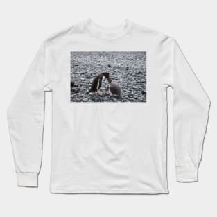 Gentoo penguin and chick at Brown Bluff Long Sleeve T-Shirt